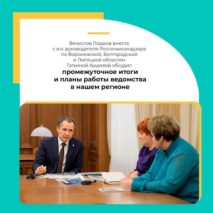 Губернатор Вячеслав Гладков провёл встречу с и.о. руководителя Россельхознадзора по Воронежской, Белгородской и Липецкой областям Татьяной Аушевой.